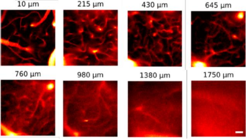 1761189034114275.png image.png